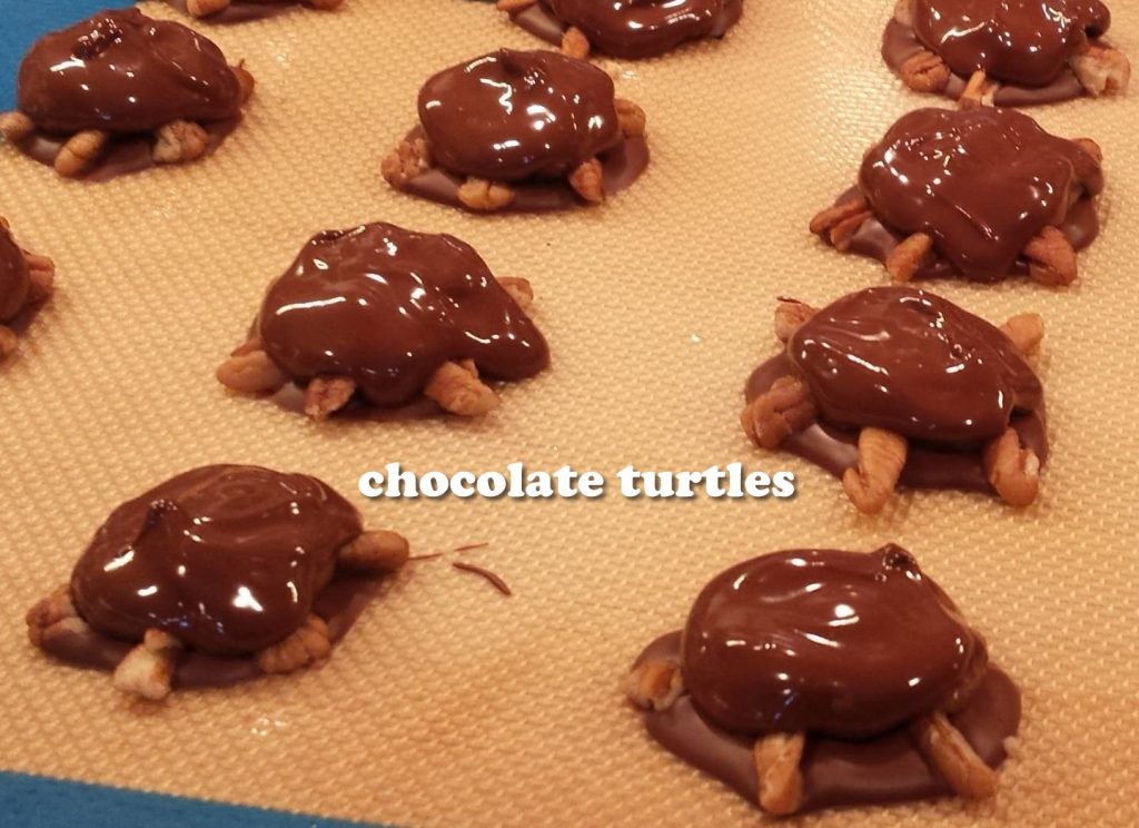 Chocolate Turtles