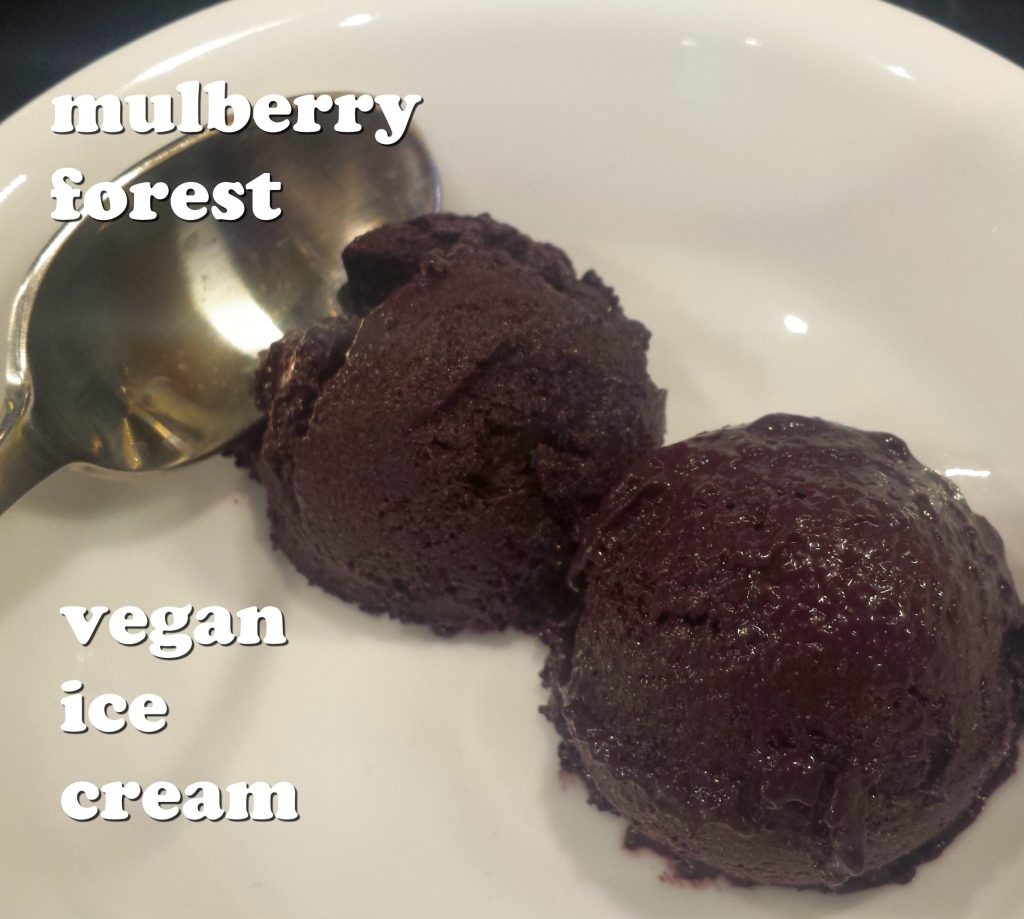 mulberry forest vegan ice cream