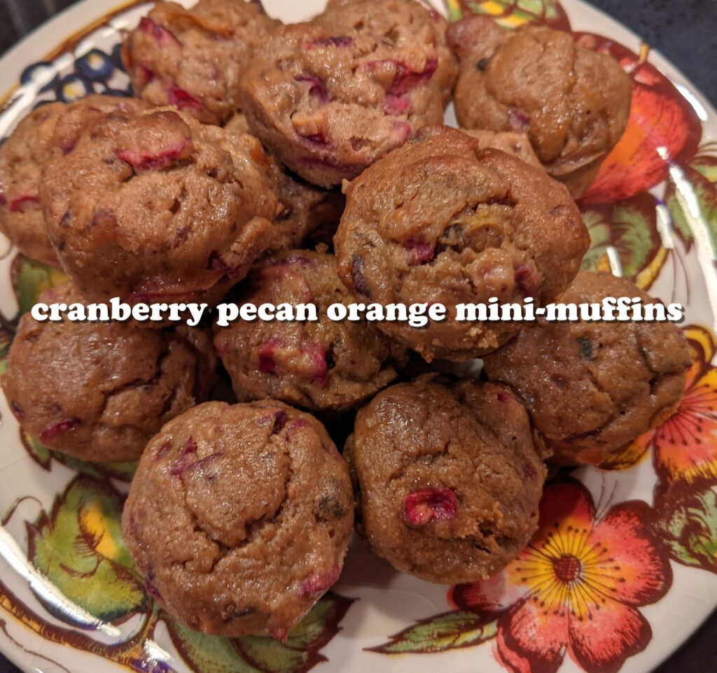 Cranberry Pecan Orange Mini-Muffins