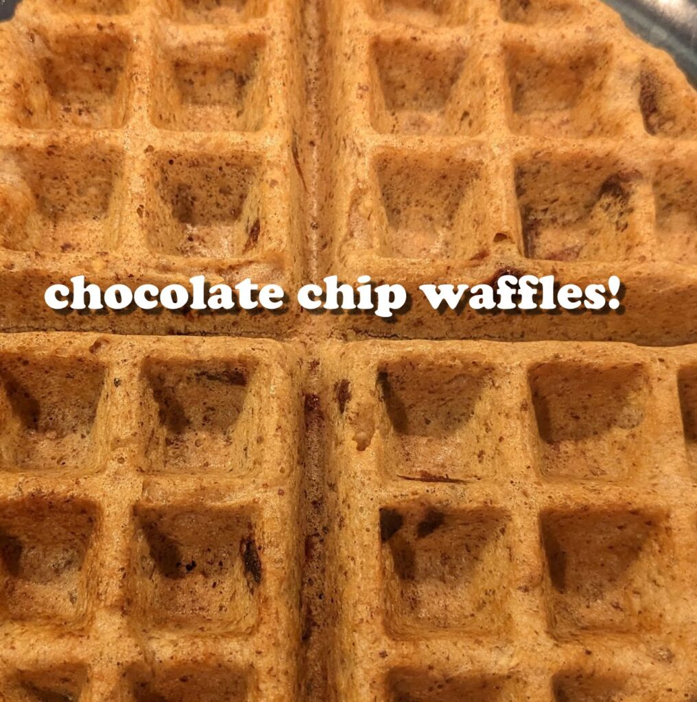 chocolate chip waffles