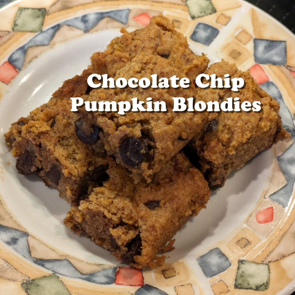 Chocolate Chip Pumpkin Blondies